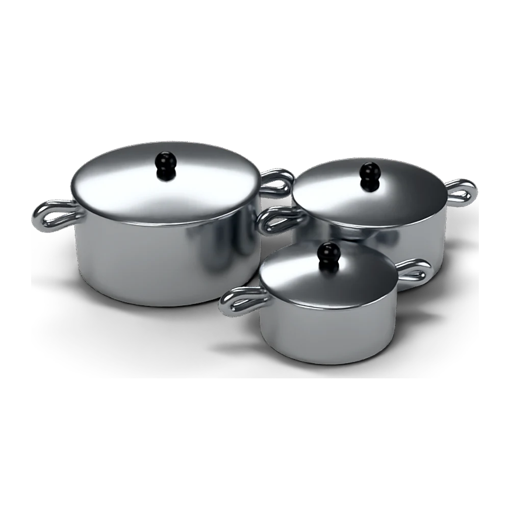 Stainless Steel Cooking Pot Set